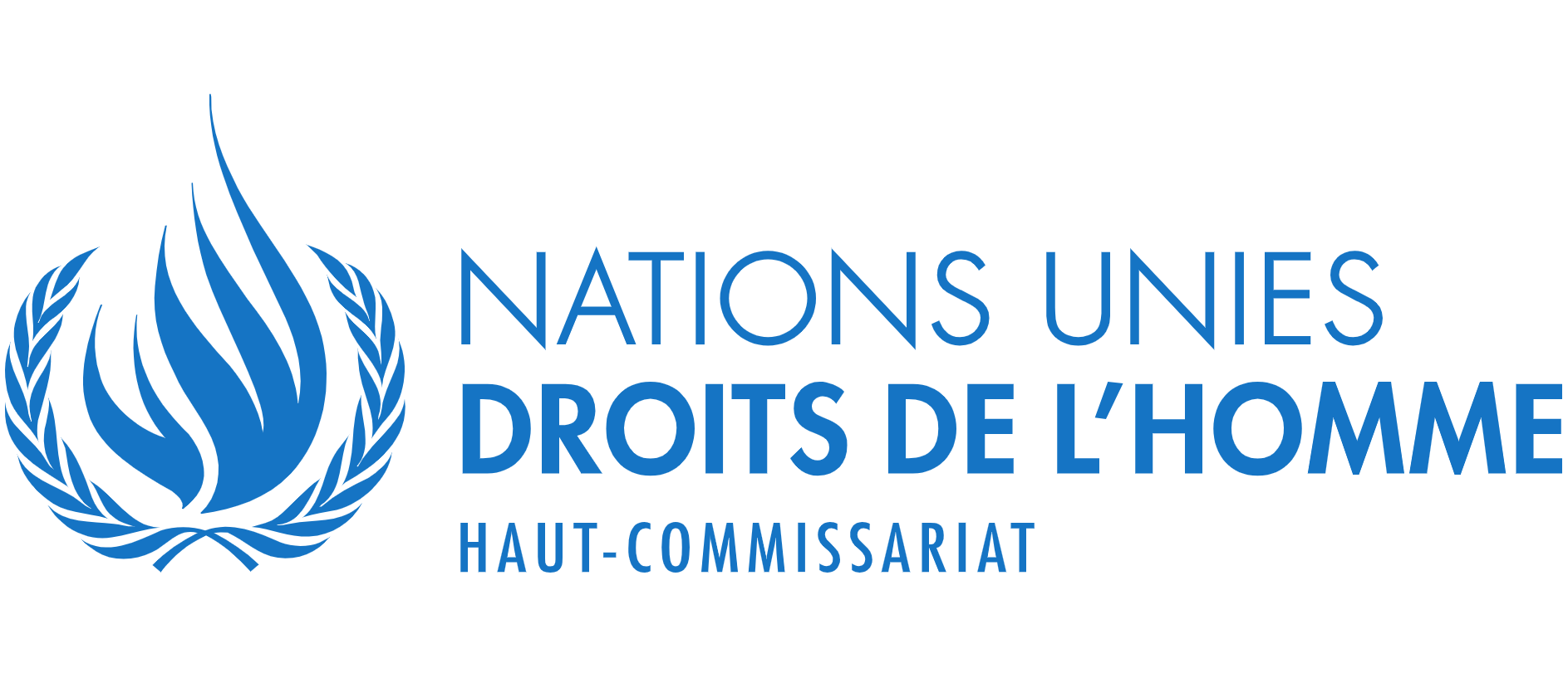Logo Nations Unies DROITS DE L'HOMME